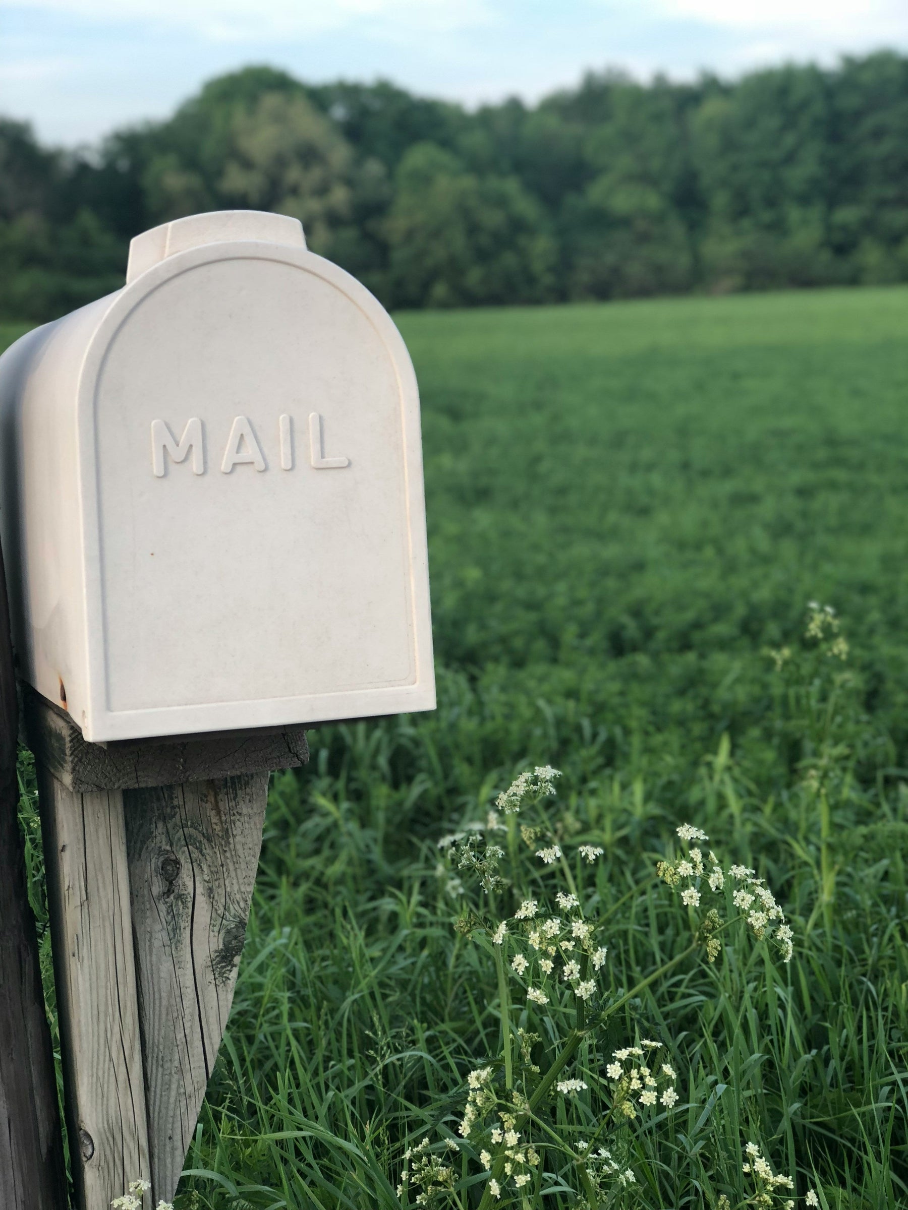 The Ultimate Guide to Letterbox Drops: What You Need for Effective Door-to-Door Marketing in NZ