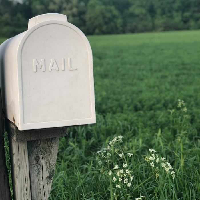 The Ultimate Guide to Letterbox Drops: What You Need for Effective Door-to-Door Marketing in NZ