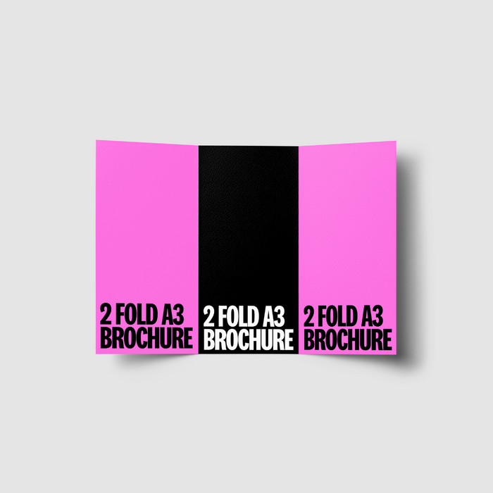 2 Fold A3 Brochure