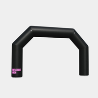 Inflatable Arch
