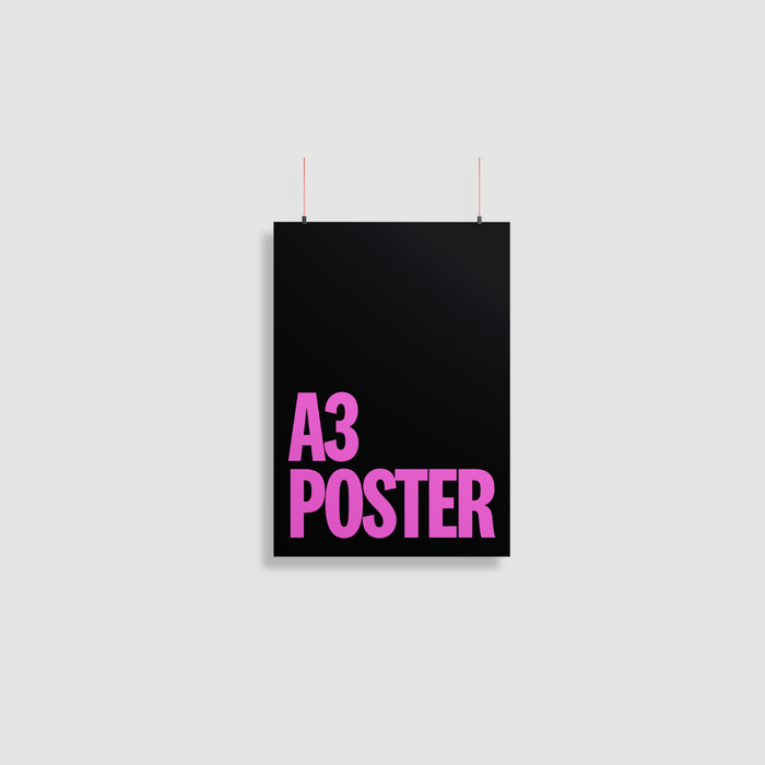 A3 (420x297mm) Poster